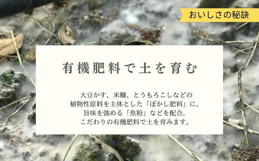 こだわりの有機肥料で土づくりを行っており、みかんの木は土からの
栄養をしっかり吸い上げ、沢山光合成をして美味しい果実を育みます