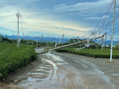 【台風15号災害支援】静岡県 牧之原市 令和7年9月5日 台風 突風 竜巻 災害 災害支援寄附【災害支援寄附金】 (寄附金額：1,000,000円)【返礼品なし】※いただいた寄附金額は災害復興支援とし