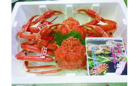 94.【活】タグ付き松葉ガニ　特大2枚※2025年11月上旬～2026年3月下旬頃に順次発送予定