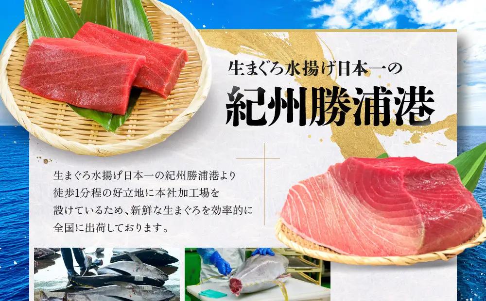 生本まぐろ 「鮨やすみつ」監修 200g 生本マグロ