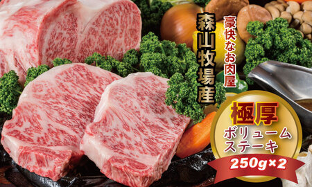 黒毛和牛 ロースステーキ 250g×2 ステーキ 牛肉  C270-001
