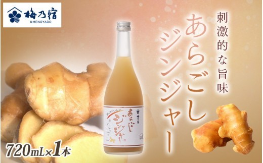 
                  梅乃宿 あらごしジンジャー ７２０ｍｌ ／ ジンジャー リキュール スパイシー 国産 すりおろし しょうが 爽やかな 香り 奈良県 葛城市【umyd016A】
                