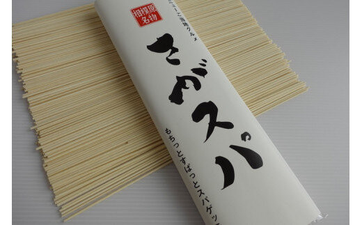 さがスパ 5袋 | パスタ スパゲッティ 乾麺 ご当地 もちもち 相模原市 神奈川県 計1kg