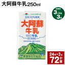 【ふるさと納税】【定期便】【3ヶ月毎3回】大阿蘇牛乳 250ml 24本 計72本（24本×3回） 牛乳 ミルク 成分無調整牛乳 乳飲料 乳性飲料 熊本県産 国産 九州 熊本県 菊池市 送料無料