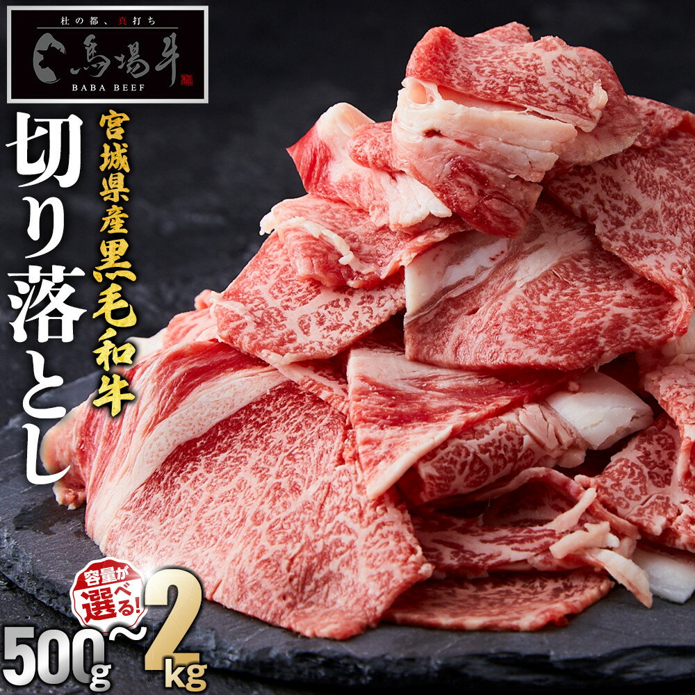 【ふるさと納税】＼小分けで使いやすい／ 牛肉 切り落とし 容量が選べる 500g 〜 2kg | 馬場牛 黒毛和牛 お肉 肉 牛 料理 すき焼き しゃぶしゃぶ 炒め物 牛丼 肉じゃが おすすめ 切落とし 切り落し 国産肉 冷凍 人気 ご当地 お取り寄せ グルメ 送料無料