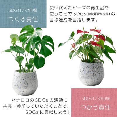 ふるさと納税 岡崎市 【ハナロロ】 サステナブル 7色ビーズの鉢カバー　 |  | 02