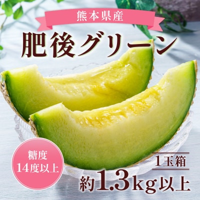 熊本県産肥後グリーンメロン1玉 約1.3kg(宇城市)【配送不可地域：離島】【1612962】