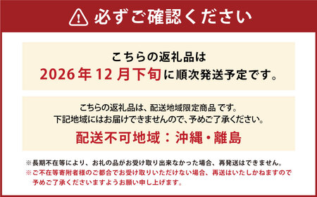 山形おきたま産冬のシャインマスカット （秀） 2～3房 （約1.5kg）シャインマスカット マスカット 葡萄 フルーツ 果物 果実 冷蔵 山形県 白鷹町 【2025年12月下旬順次発送予定】