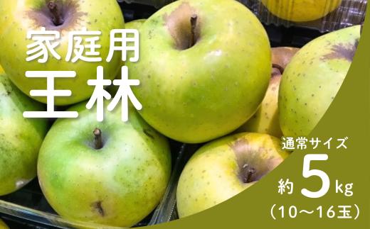 KR34-25A りんご 王林 家庭用 約5㎏（10～16玉） / 11月上旬頃～配送予定 // 長野県 南信州 リンゴ 林檎 黄緑色りんご 訳あり 自家用 農家直送 農家支援 産地直送