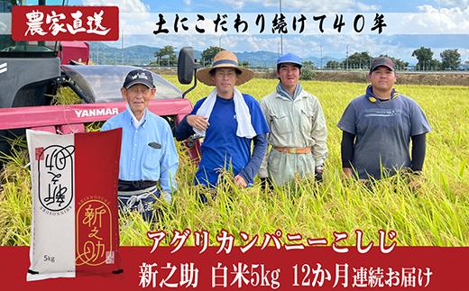 
                  J8-7S05ZA【12ヶ月連続お届け】新潟県長岡産 新之助 5kg
                