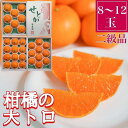 【ふるさと納税】ちょっと 傷あり 柑橘の大トロ ハウス せとか 8 ～ 12玉入 化粧箱 南泰園