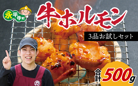 国産牛 ホルモン 3種 セット 計500g ホルモン 食べ比べ