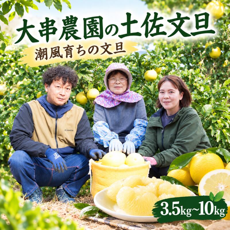 【ふるさと納税】 土佐文旦 10kg 7kg 4kg 家庭用 選べる 容量 文旦 柑橘 果物 フルーツ みかん類 贈答品 ギフト 高知県産 特産品 名産 果汁 ジューシー さっぱり 甘酸っぱい デザート 旬 冬 季節限定 産地直送 贈り物 お取り寄せ 宿毛市 高知県 大串農園