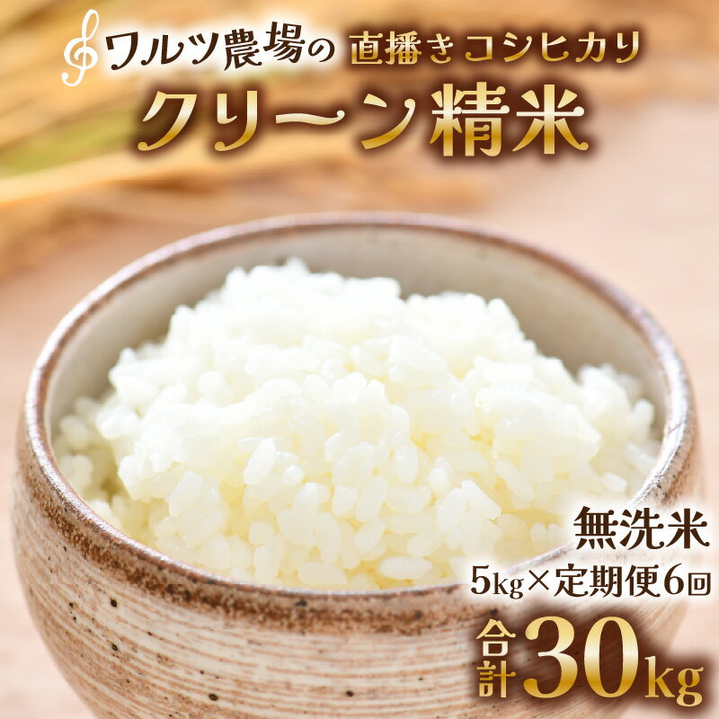 【ふるさと納税】【先行予約】【令和8年産 新米】《定期便6回》ワルツ農場の直播き コシヒカリ クリーン精米（無洗米） 5kg（計30kg）/ お米 ご飯 白米 発送直前 精米 艶 甘味 旨み あわら市産 福井県産 慣行栽培 コメ 北陸 福井県 こしひかり ※2026年11月上旬以降発送予定