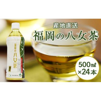 ふるさと納税 八女市 【産地直送】福岡の八女茶 煎茶ペットボトル(500ml×24本)