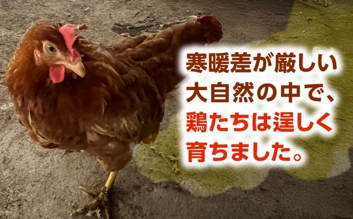 家庭用 たまご タマゴ 玉子 卵 生卵 鶏卵 新鮮 濃厚 採れたて 生みたて 産みたて 卵料理 卵焼き 玉子焼き オムレツ 人気