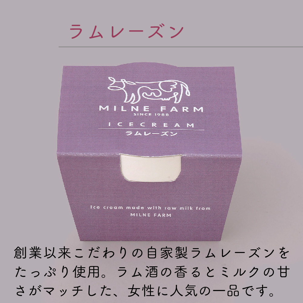 佐賀脊振高原ミルン牧場のアイスクリーム24個セット【手作り 濃厚 生乳 ミルク バニラ 抹茶 チョコ ストロベリー ラムレーズン】(H102123)
