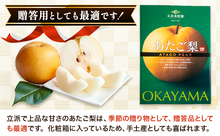 【2026年先行予約】あたご 梨 約720g×2玉 化粧箱 石原果樹園 《2026年11月中旬-12月下旬頃より発送予定》岡山県 浅口市 フルーツ 果物 ギフト 贈り物 国産 岡山県産 送料無料