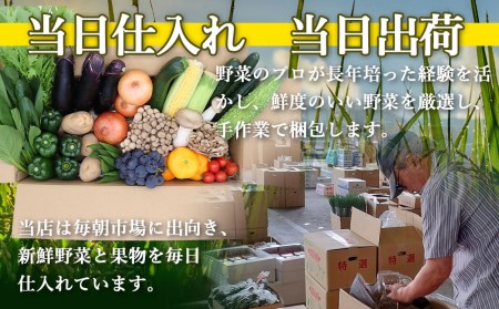 定期便 12回コース 贅沢 野菜 セット どっさり 16品目以上 季節の野菜 フルーツ キノコ 詰め合わせ / 吉岡青果 / 長崎県 雲仙市[item0629]