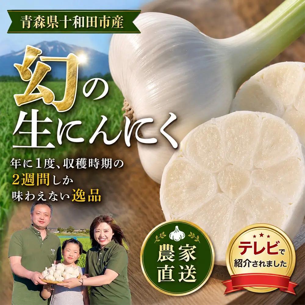 先行受付【テレビ紹介】青森 幻の生にんにく7玉（農家直送・収穫期だけの限定品） 青森にんにくファーム