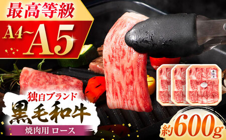 フジチク 藤彩牛 ロース 焼肉用 約600g 牛肉 ロース[BHAD117]