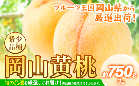 桃 【先行予約】岡山黄桃 約750g《2025年8月下旬-9月下旬頃出荷》 黄桃黄桃黄桃黄桃