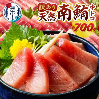 ふるさと納税 焼津市 マグロ 中トロ 訳あり 刺身 ミナミマグロ 中トロ 切り落とし 約700g(a15-719)