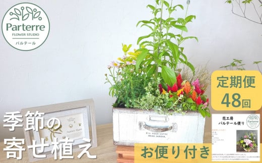 【定期便 / 毎月4回 計48回 お届け】季節の寄せ植え 定期便