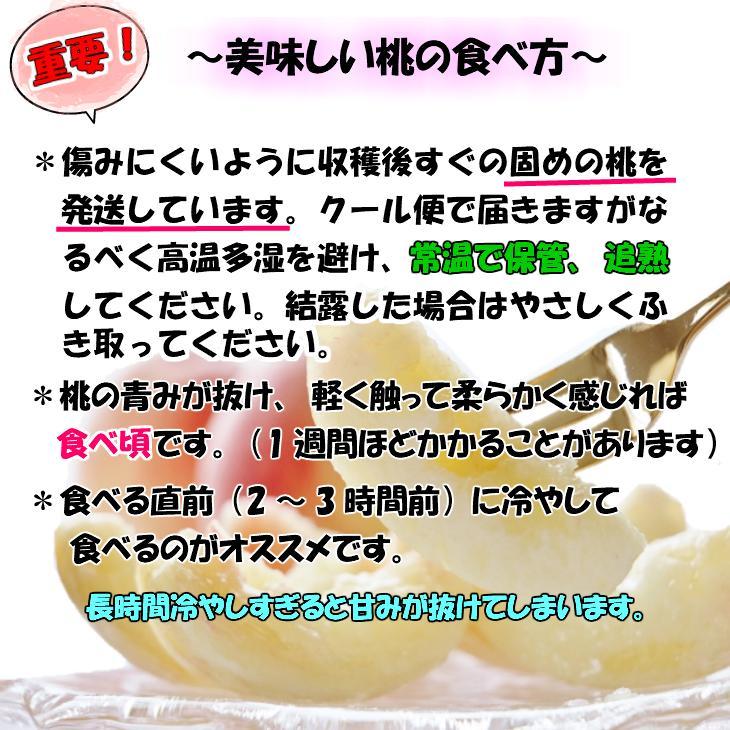 【秀品】和歌山ブランド白桃 約2kg！ ギフト 贈答品にも! 2026年7月発送分