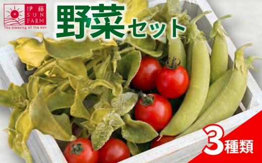 【 先行予約 】 伊藤SUN FARM 野菜セット ミニトマト 6パック スナップエンドウ 400g アイスプラント 240g 期間限定 数量限定 サラダ 野菜 やさい 送料無料 千葉県 旭市 伊藤SUN FARM isf005
