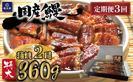 【定期便3ヶ月】[特大] 国産 関西風地焼き うなぎ【蒲焼】2尾 360g以上｜ うなぎ 泉大津 鰻 蒲焼き 冷凍鰻 活鰻 鰻次郎 うな重 土用の丑の日 お取り寄せ 高級 うなぎの日 ウナギ unagi ※離島への配送不可