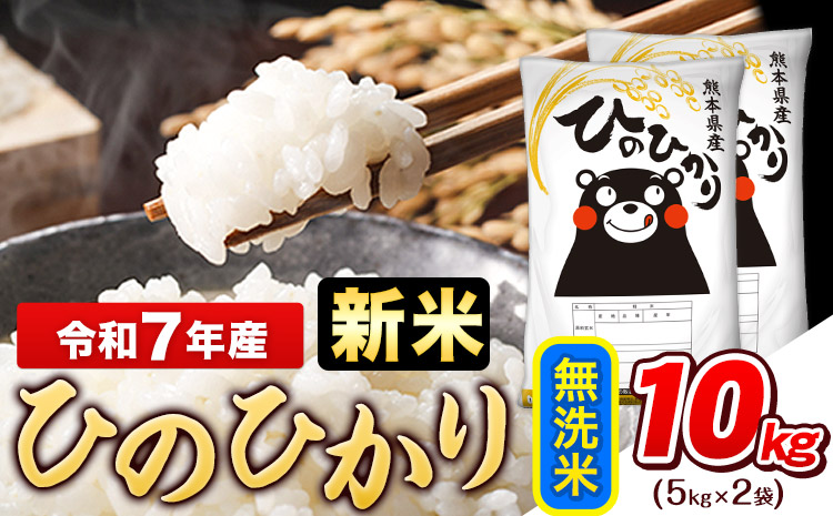 新米 令和7年産  ひのひかり 無洗米 10kg (5kg×2袋)《7-14日以内に出荷予定(土日祝除く)》熊本県産 ひの 米 こめ ヒノヒカリ コメ お米 おこめ
