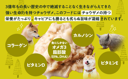 宮崎 -森のチョウザメ-sustainable PET FOOD ペットフード ウェットフード ペット用おやつ