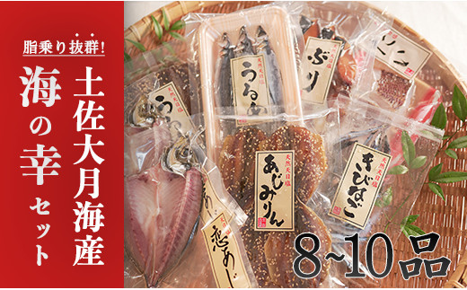 
土佐大月海産　海の幸セット　8～10品
