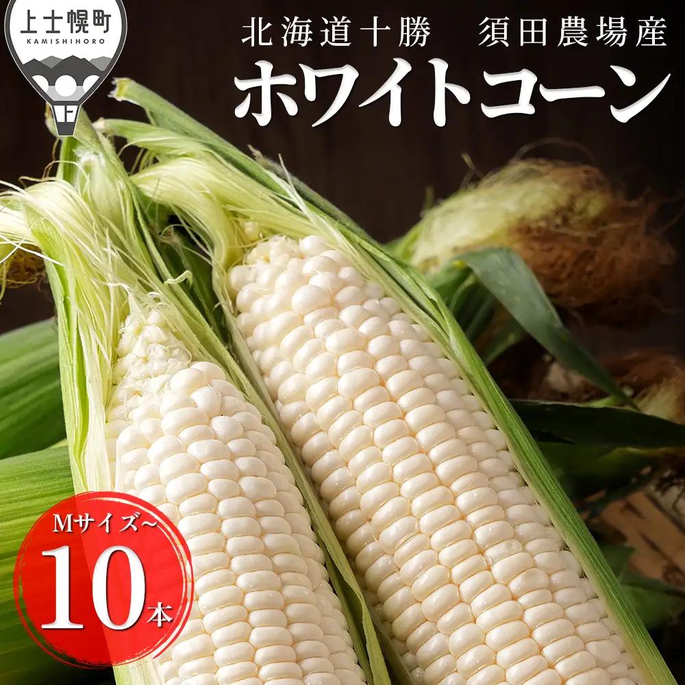2026年産 北海道産 ホワイトコーン 計10本 北海道 上士幌町 須田農場 野菜 白い スイートコーン とうもろこし トウモロコシ 産地直送 冷蔵便 ◆2026年08月配送予定