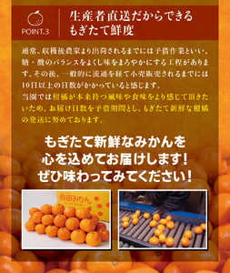【農家直送】有田みかん 約10kg  大玉3L以上 有機質肥料100% 【2026年11月上旬～12月下旬に順次発送予定(お届け日指定不可)】 / みかん 大玉 蜜柑 有田 柑橘 フルーツ 果物 くだ