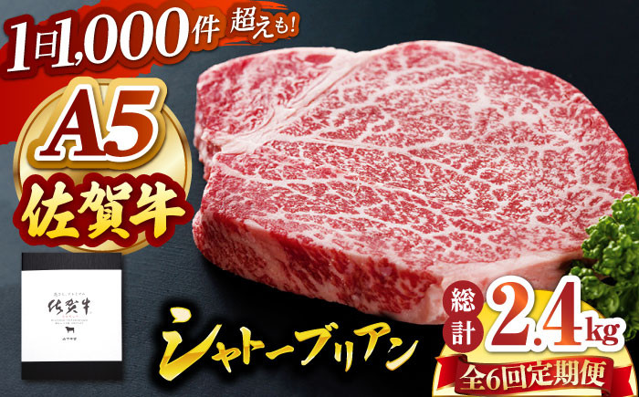 
【全6回定期便】佐賀牛 A5 シャトーブリアン 400g ( 200g×2枚 ) 【山下牛舎】 [HAD070]
