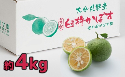 【先行予約】香り爽やか　佐々木さんのカボス(4kg)