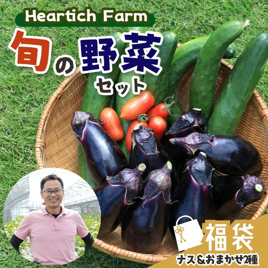 【ふるさと納税】福袋 2026年 旬の 野菜 セット ( ナス ＆ おまかせ2種 ) Heartich Farm ｜ 野菜 ナス 茄子 セット 特産品 栃木県 真岡市 送料無料 なす なすび