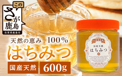 
            鹿島市産 天然の恵み 100% はちみつ 600g 化粧箱入 B-806 ハチミツ 蜂蜜 ハニー 天然はちみつ 天然蜂蜜 国産
          