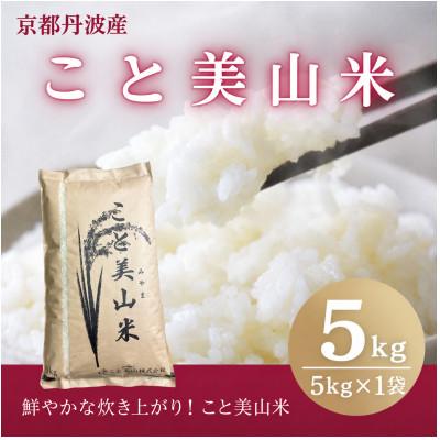 ふるさと納税 南丹市 【訳あり】 令和8年産 こと美山米 5kg 精米 コシヒカリ にじのきらめき