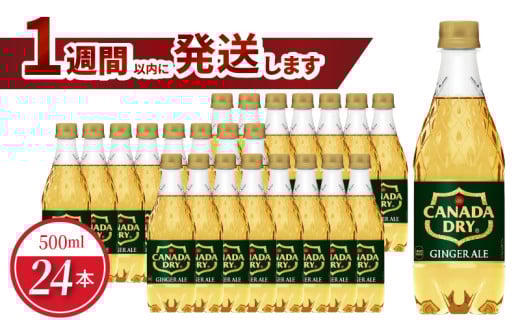 カナダドライジンジャーエール 500mlPET（24本入）飲料 ドリンク コカ・コーラ 買い置き PET 人気 おすすめ お取り寄せ