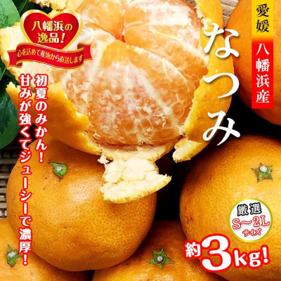 2026年4月発送開始　甘みが強くて濃厚な味わい初夏のみかん「なつみ」約3kg  【C39−57】【配送不可地域：離島】【1491395】