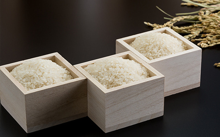 【定期便】(12ヶ月連続お届け) 田中農場 特別栽培認定 佐賀米3kg X 12回 毎月発送コース Q070-001