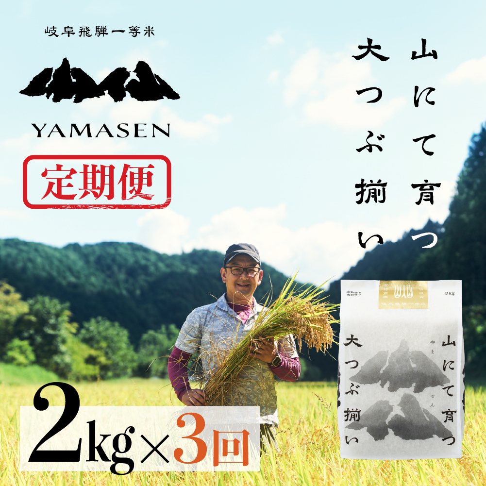 （新米）令和6年産米【定期便】山仙（いのちの壱）2kg×3回 すがたらいす 下呂市金山産 2024年産 毎月 2キロ×3カ月 お米 精米 下呂温泉 下呂市 米 ブランド米【51-E】