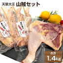 【ふるさと納税】天草大王 山賊セット 幻の鶏 キャンプ BBQ 骨付きもも肉800g 大手羽先3本×2セット 熊本県産 鶏肉 もも肉 骨付きもも肉 冷凍 パック 小分け 送料無料