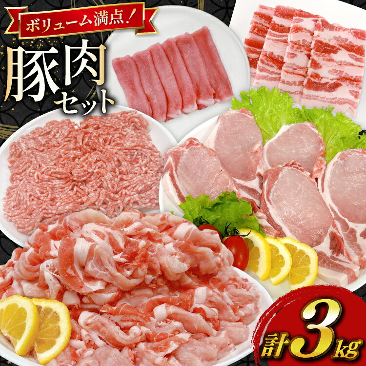 【ふるさと納税】 豚肉 宮崎県産豚肉 3kg 詰め合わせ セット [TRINITY 宮崎県 日向市 452061329] 小分け 豚 肉 宮崎 ロース スライス 豚バラ とんかつ 切り落とし ミンチ 豚ミンチ ひき肉 真空パック