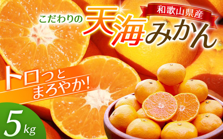 みかん 5kg 秀品 天海みかん  和歌山 【nak006-1】