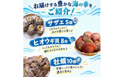 【着日指定可能】 カンカン焼き 牡蠣・ヒオウギ貝・サザエ 3種詰め合わせ (冷凍)  /  牡蠣 サザエ ヒオウギ貝 新鮮 アッパッパ貝 ギフト 贈答 のし対応可 プレゼント 海鮮 魚介 鮮魚  ガン
