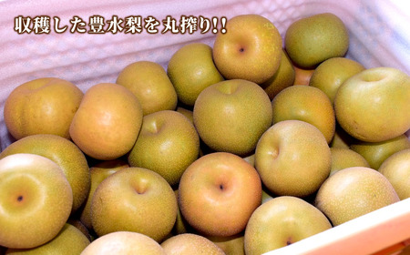 梨ジュース 720ml×3本 豊水 梨果汁100％ ストレートジュース 果汁飲料 梨 フルーツジュース ギフト 贈り物 ジュース 丸絞り